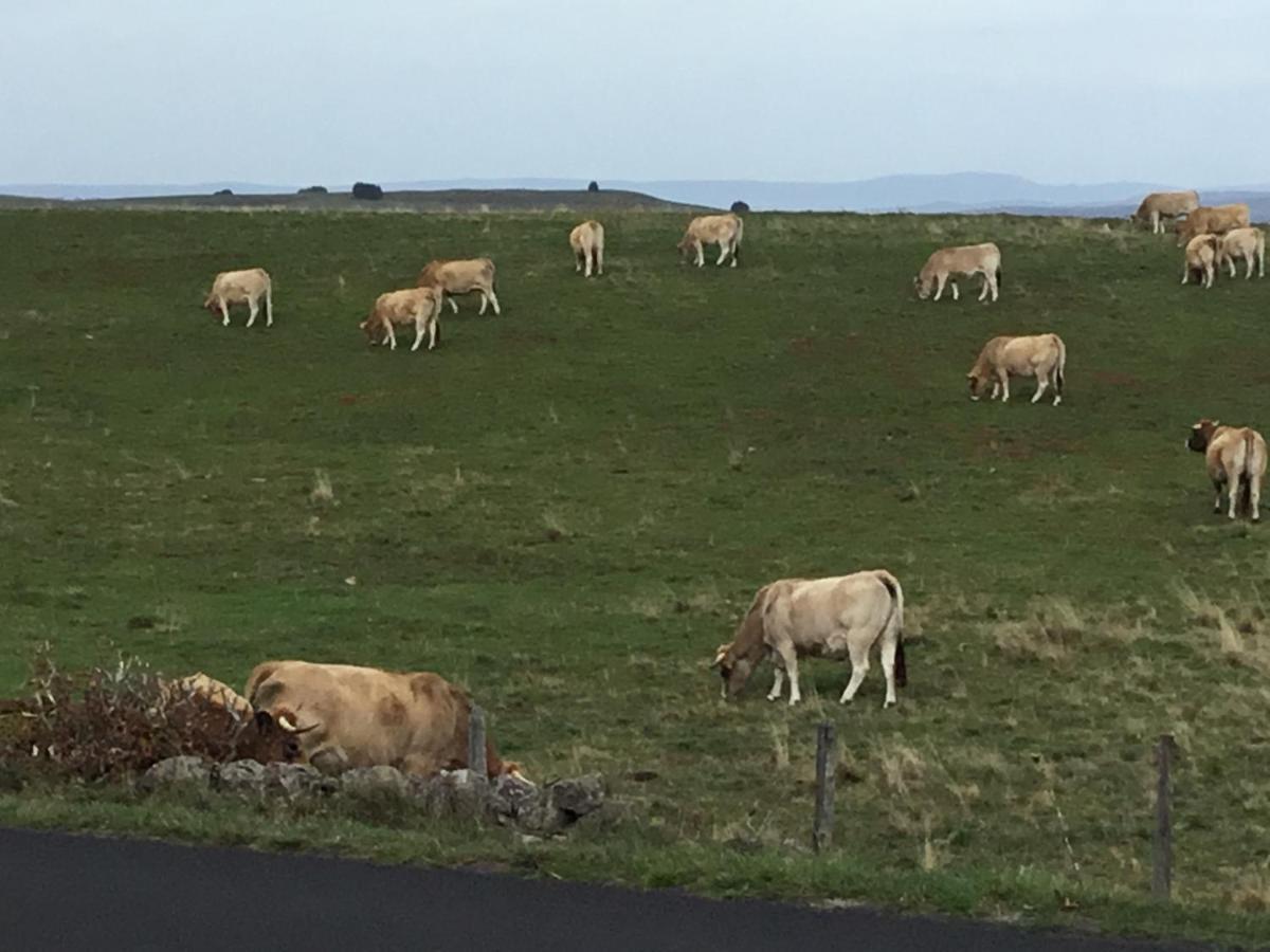 Апартаменты Lo Vedelier D'Aubrac Лайоль Экстерьер фото